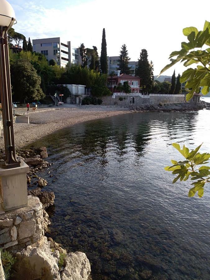 Villa Salus, Apartment Maruna Opatija Zewnętrze zdjęcie
